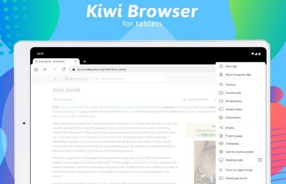 Kiwi Browser Download 584ee