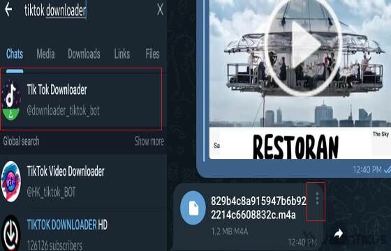 Download Mp3 TikTok Dari Telegram 36f56