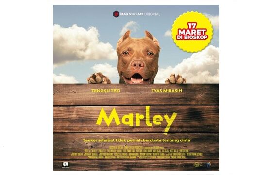 Film Marley Diperankan Anjing Pitbull 0dddc
