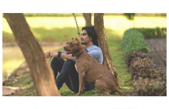 Film Marley Terbaru 1cd10