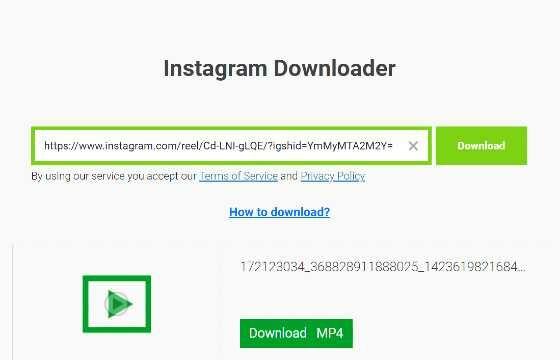 ig link video downloader