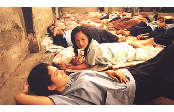 Butterfly In Grey Cedd3