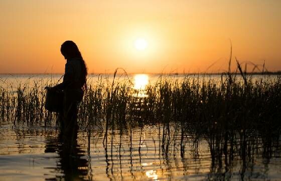 Sinopsis Film Where The Crawdads Sing B9ca8