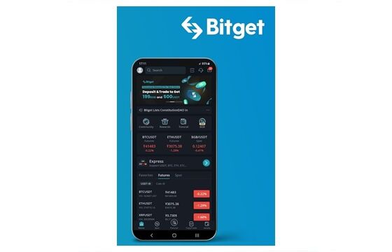 Download Bidget 9a50a