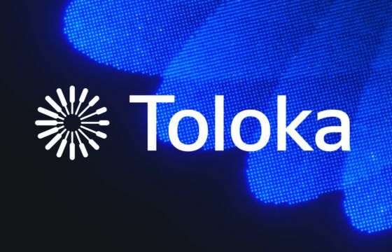 Toloka 212d6