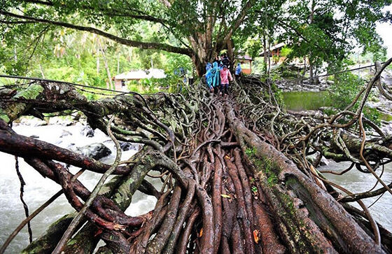 Foto Tempat Wisata Unik di Dunia 06