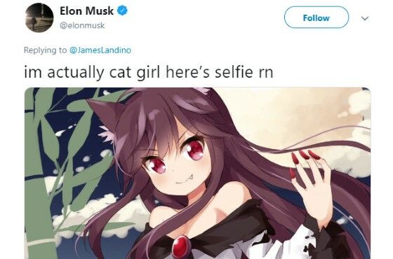 Elon Musk Twitter Anime - Ungkap Cinta Anime, Akun Twitter Elon Musk Disangka Kena - — elon