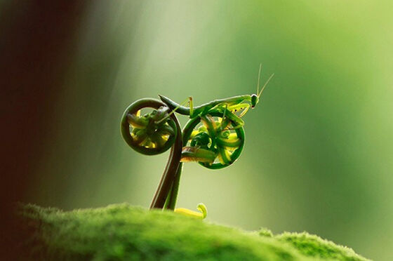 Foto Tanpa Photoshop Keren Banget 13