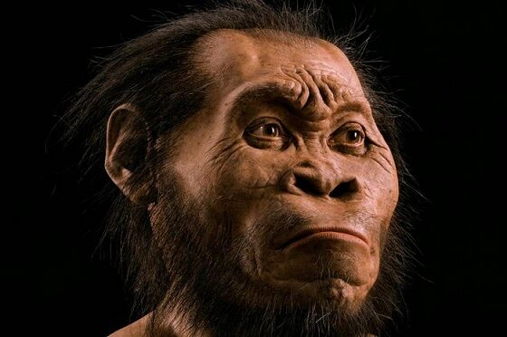 Homo Erectus 04bde