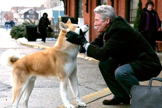 Hachiko 0e61d