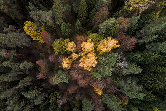Foto Drone Paling Memukau 17