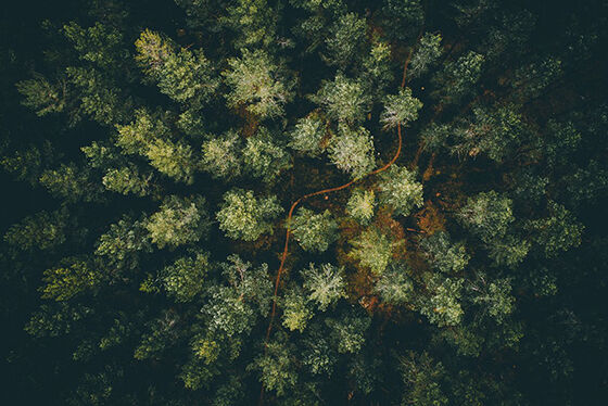 Foto Drone Paling Memukau 20