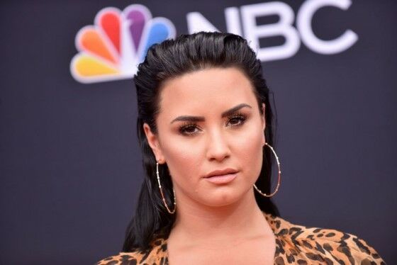 Demi Lovato Mugshot Artis Cilik Masuk Penjara Custom C0120