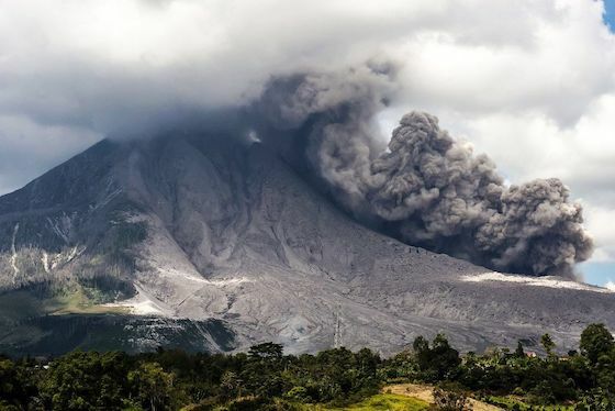 Hutan Paling Berbahaya Di Dunia Bcb64