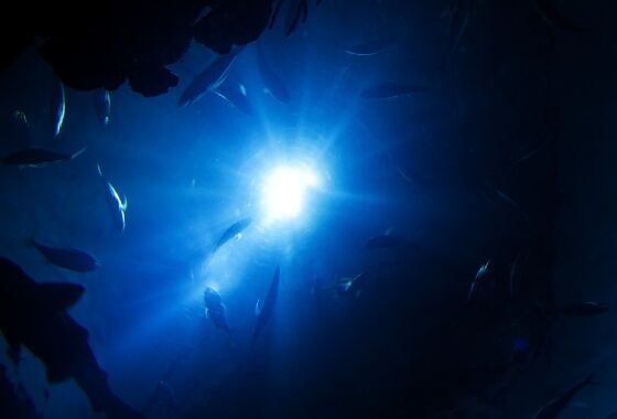 Tekanan Laut 3e277
