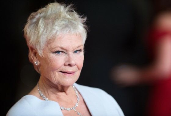 Aktris Buruk Rupa Judi Dench F43c2