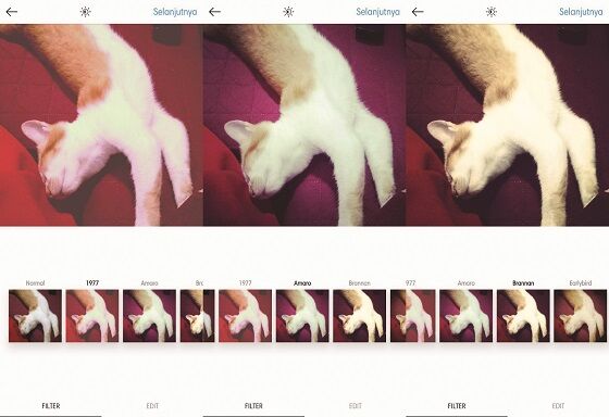 Filter Instagram 1 Bdcf9