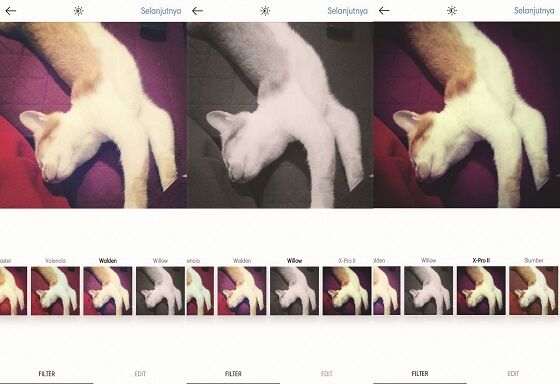Filter Instagram 6 6ab39