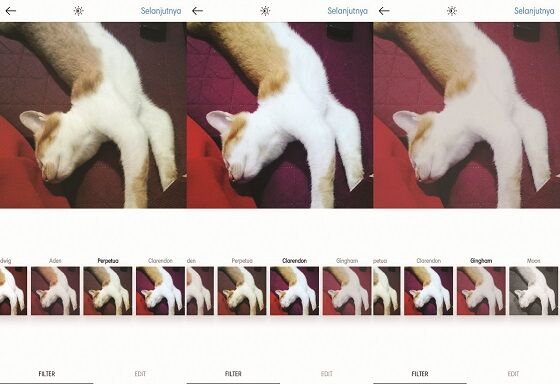 Filter Instagram 8 114dd