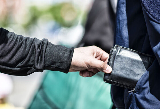Wallet Pickpocket F1879