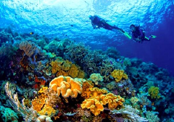 Tempat Wisata Indonesia Yang Mendunia 8 4f353
