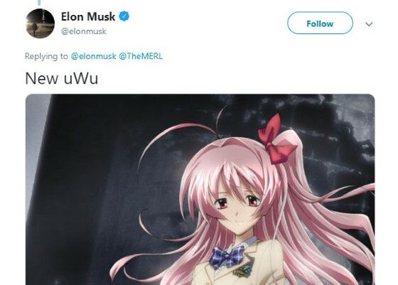 Elon Musk Suka Anime 7 22c49