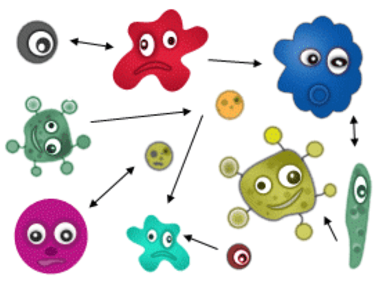 Jenis Virus Komputer 11 4738c
