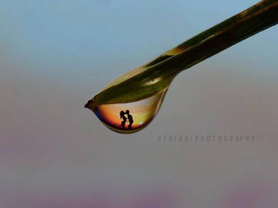 Foto Kebersamaan Dengan Pasangan Di Tetesan Embun Pagi So Sweet Banget Ya Ternyata Proses Pembuatannya Juga Kreatif