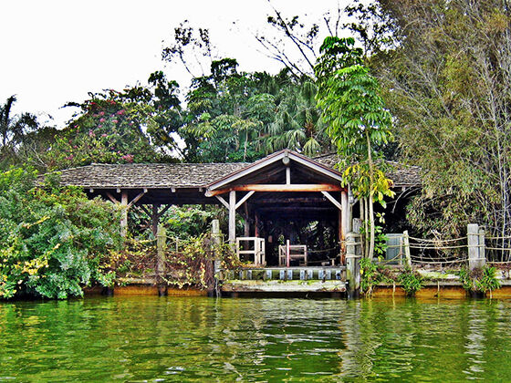 Disney Discovery Island