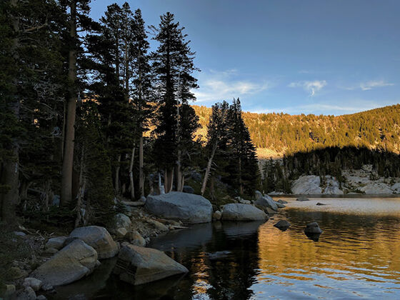 Hasil Foto Google Pixel 5