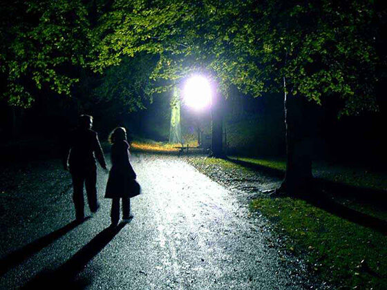 Night Walk 24982