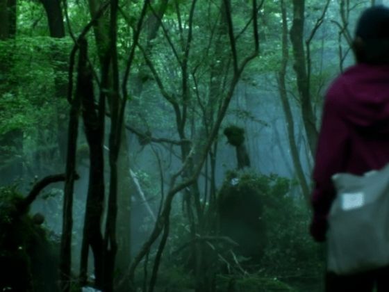 Fakta Menarik Suicide Forest Village 98dd5