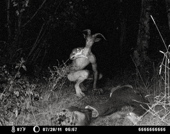Monster Mengerikan Tertangkap Kamera 1 18e73