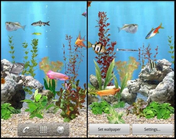 Wallpaper Aquarium 3D Bergerak 5 2da27