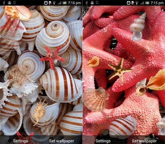 Wallpaper Aquarium 3D Bergerak 2 Fb68a