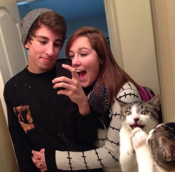 Photobomb Kucing 7