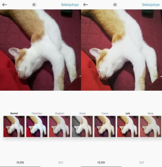 Filter Instagram Paling Populer 5 01c9e