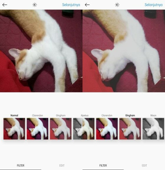 Filter Instagram Paling Populer 6 B21ff