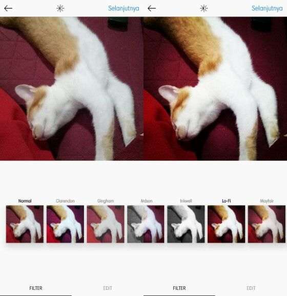 Filter Instagram Paling Populer 7 44c6d