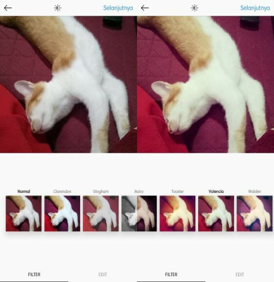 Filter Instagram Paling Populer 9 Fc684