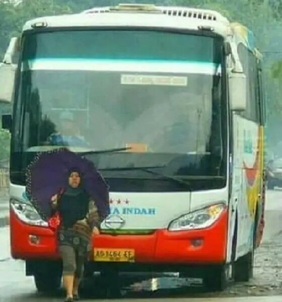 Emak Semakin Terdepan 08e74