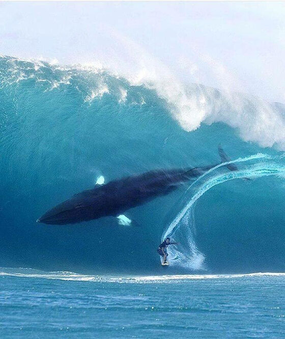 Foto Penderita Thalasophobia 11