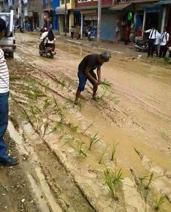 Petani Di Jalan Fb5f8