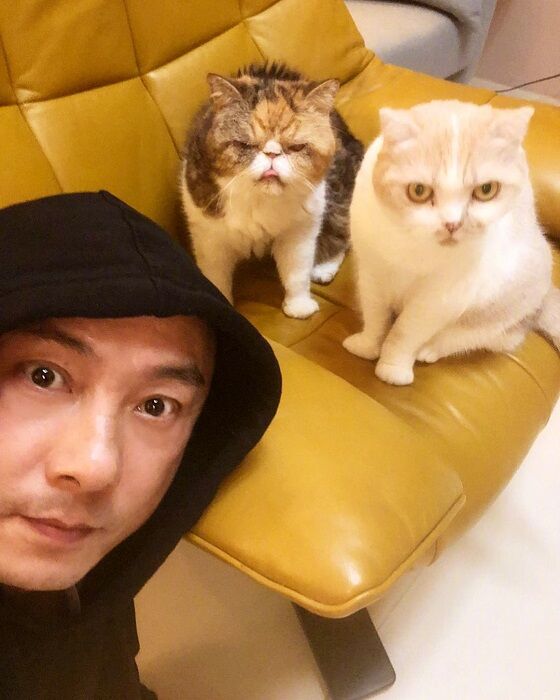 4 Dicky Cheung Penyayang Kucing 489dd