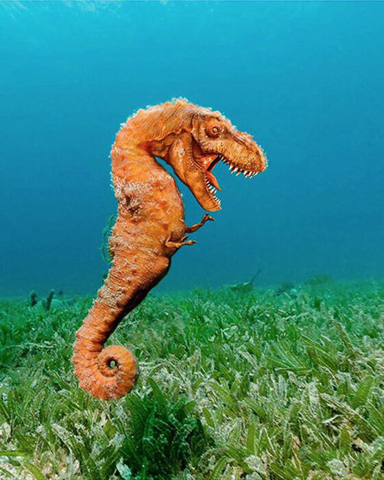 Searex Foto Photoshop Unik Gabungan Hewan