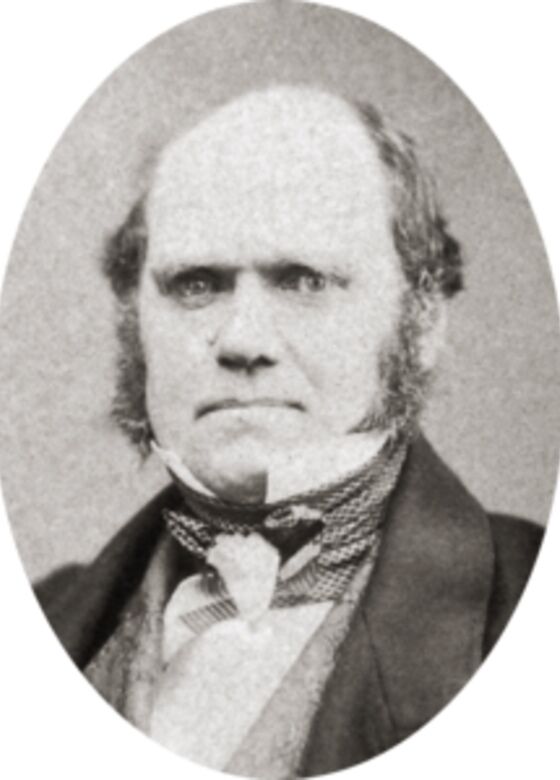 Charles Darwin 96635