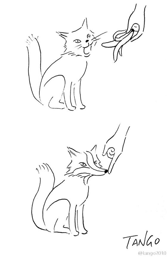 Kucing Atau Serigala