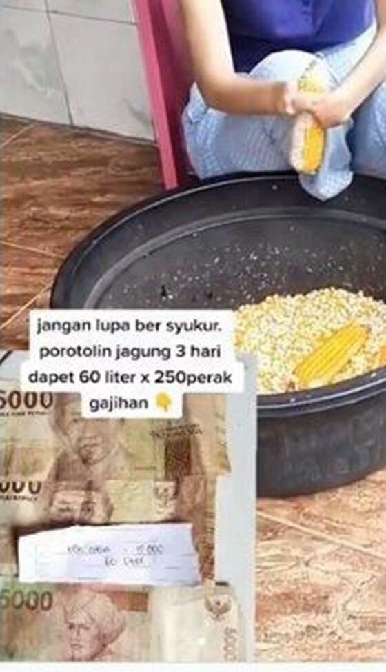 Wanita Disabilitas Pengupas Jagung 6b453