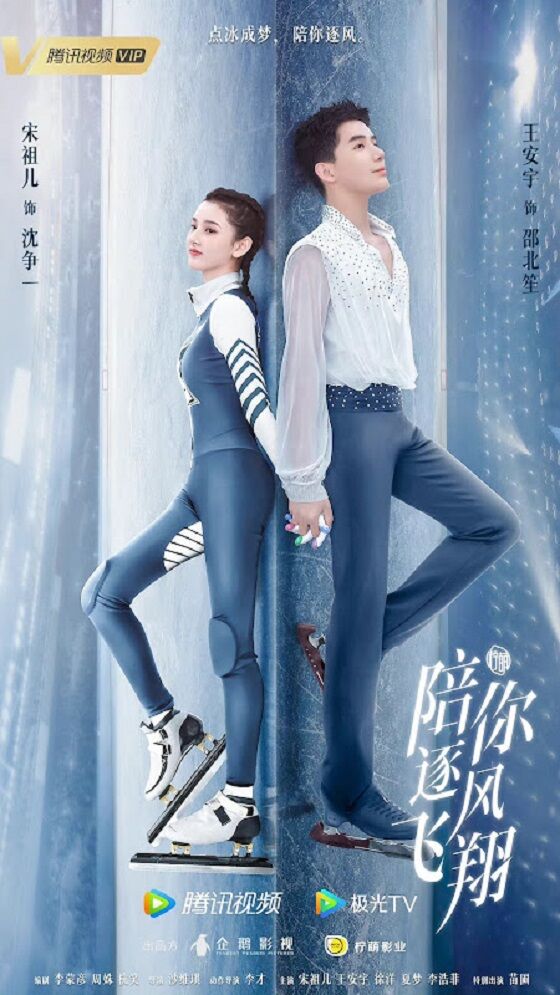 Fly With You Poster D491e