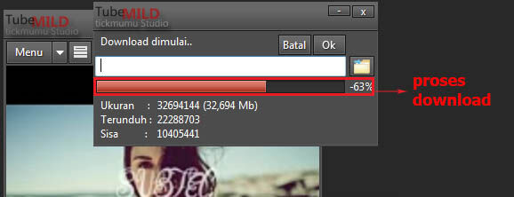 Download Youtube Dengan Tubemild 3